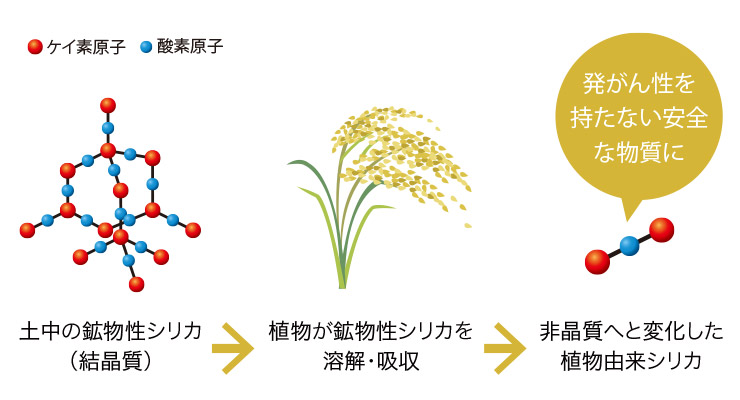 もみがら補助暗渠とは？